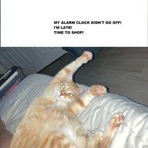 I'm late! I'm late! .... for a very important date!